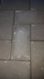 20220722_211247.jpg