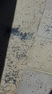 20220724_145755.jpg