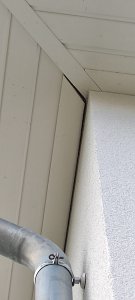 IMG_20220727_092649.jpg