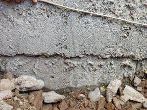 IMG_20220727_092354.jpg