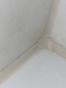 20220731_221917.jpg