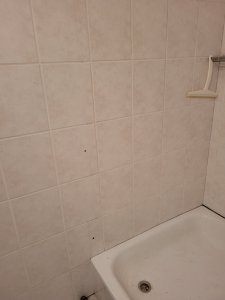 20220527_122545.jpg