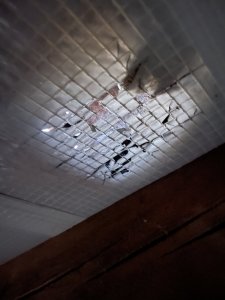 IMG_3959.jpeg
