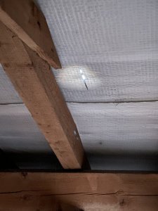 IMG_3961.jpeg
