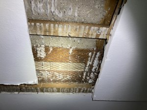 IMG_8452.JPG