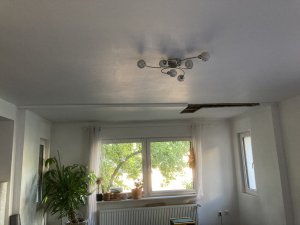 IMG_8454.JPG