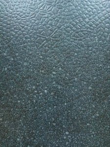 IMG_20220807_181421.jpg