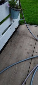 IMG_20220808_202529 1.jpg