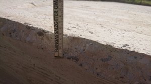 DSC_7534.JPG