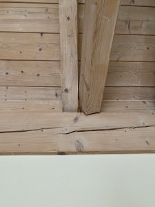 C5921789-7CF3-4A67-8E85-4EEC27232CF3.jpeg