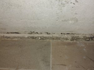 20220824_090408.jpg