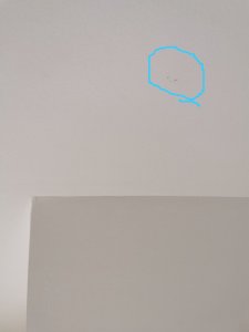 WhatsApp Image 2022-08-26 at 18.17.45.jpeg