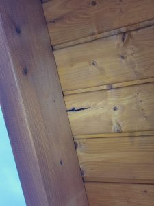 IMG_20220827_105216.jpg