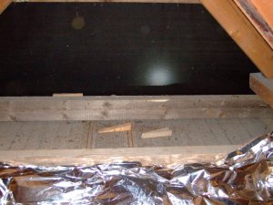 DSCF4105 (Large).JPG