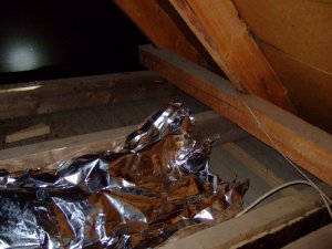 DSCF4106 (Large).JPG