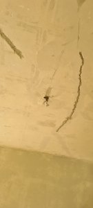 WhatsApp Image 2022-08-25 at 3.55.44 PM.jpeg