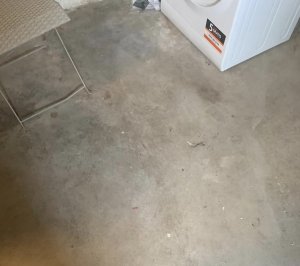 F31D49D8-EDC5-440E-94FA-2DCF06FA4C21.jpeg