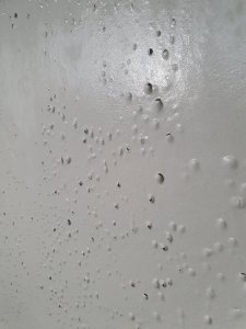 20220911_123853.jpg