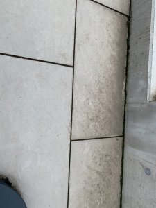 F54AD269-0271-4E2D-A0A3-E44FB95D8EAC.jpeg