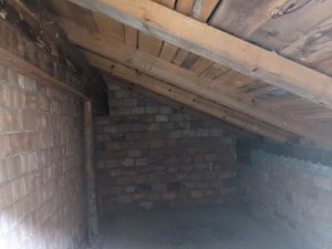 PXL_20220807_172255573.jpg