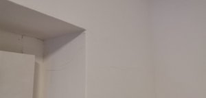71EF6B62-ADAC-43A2-A409-AB03E7445122.jpeg