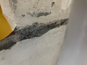 B0C0399A-5F55-467A-9C8C-D621C43A4989.jpeg