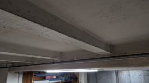 PXL_20221002_173150528.jpg