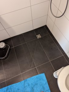 PXL_20220922_075111568.MP.jpg