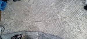 20221005_142521.jpg