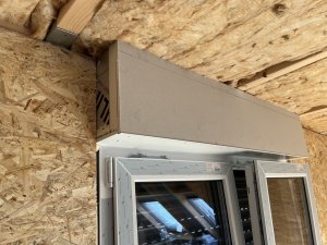 IMG_3020.JPEG