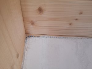 IMG_20221006_103619.jpg
