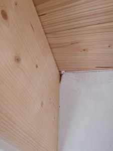 IMG_20221006_103608.jpg