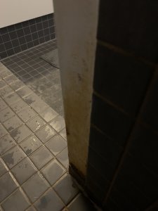 IMG_6651.jpg