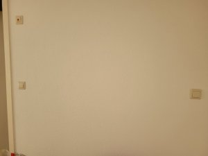 20221010_113123.jpg