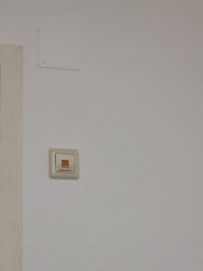 20221015_115157.jpg