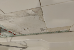 Screen Shot 2022-10-17 at 08.23.09 AM.png