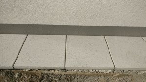 IMG_20221018_135328.jpg