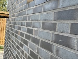 IMG_9852.jpeg