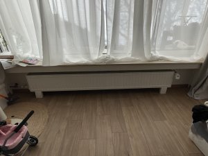 IMG_4507.JPG