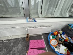 IMG_4510.JPG