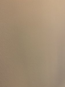 21A3E914-845B-4CE2-B57E-12ECE0014DD8.jpeg