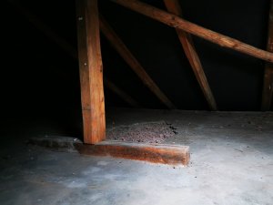 IMG_20221001_112029.jpg