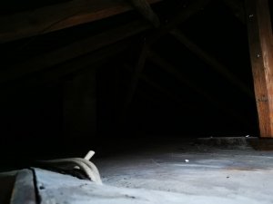 IMG_20221001_111945.jpg