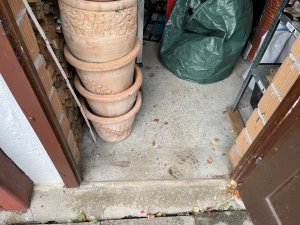 033AAF49-1DA8-47C7-8473-E16462A9ED06.jpeg