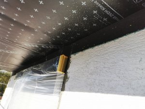 IMG_20221010_114727.jpg