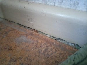 IMG20221102163621.jpg
