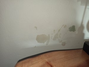 IMG_20221123_095516.jpg