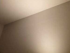20221124_060752.jpg