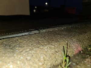20221129_170416.jpg