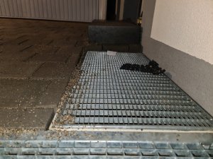 20221129_170611.jpg